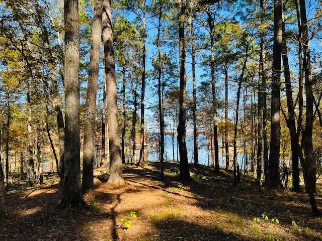 174 Whispering Pines Rd, Milam, TX 75959 - #2