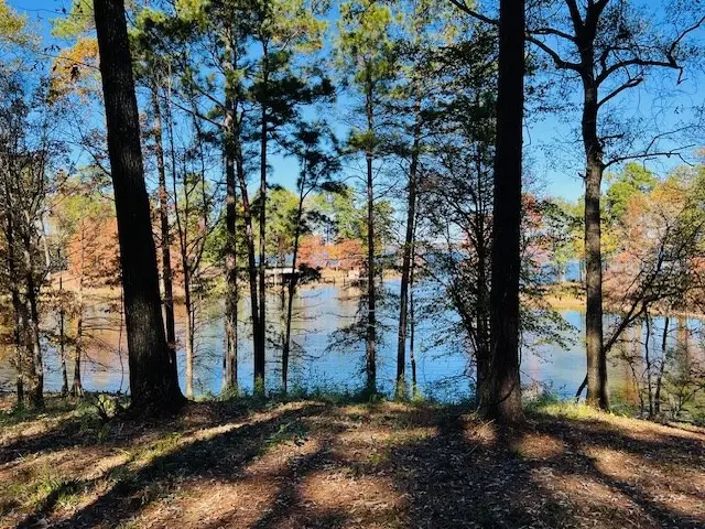 116 Whispering Pines Rd, Milam, TX 75959 - #3