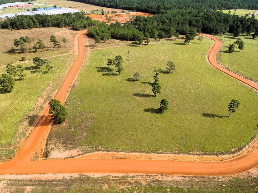 Lot 87 Lakeland Ranch, Hillister, TX 77624 - #2