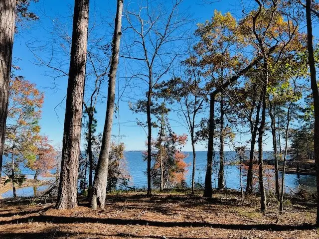 442 Mason Creek Rd, Milam, TX 75959 - #2