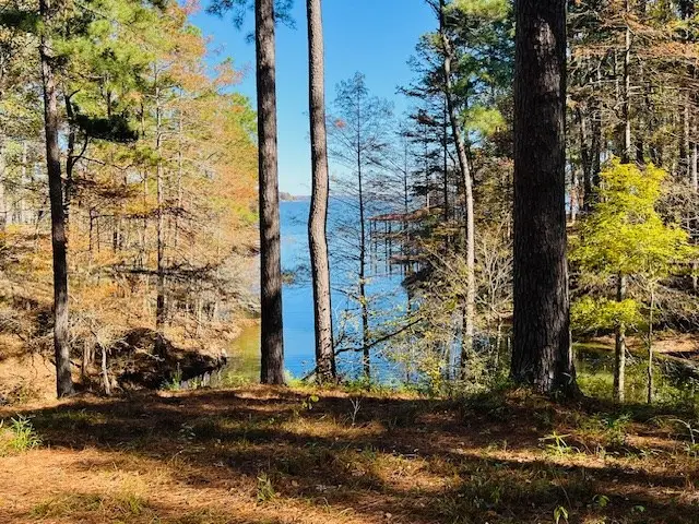 372 Mason Creek Rd, Milam, TX 75959 - #3