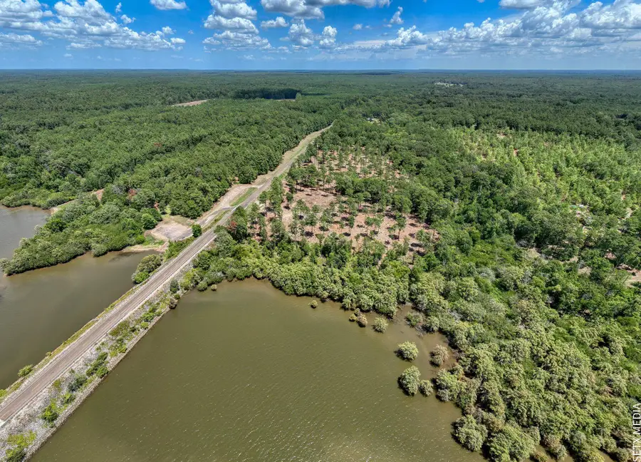 Lot 006 Fm 83, Broaddus, TX 75929 - #3
