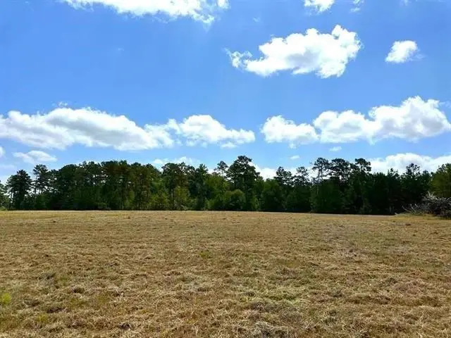 Lot 84 Lakeland Ranch, Hillister, TX 77624 - #2