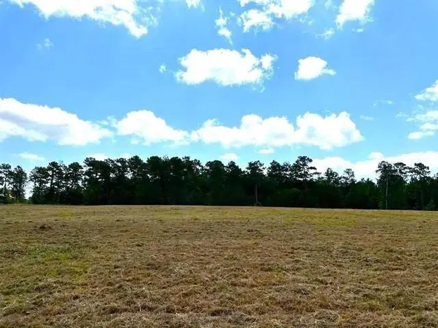 Lot 84 Lakeland Ranch, Hillister, TX 77624 - #3