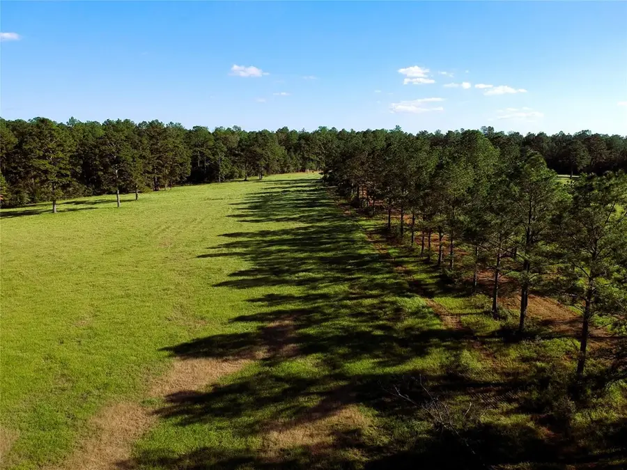 Lot 18 Lakeland Ranch, Hillister, TX 77624 - #3