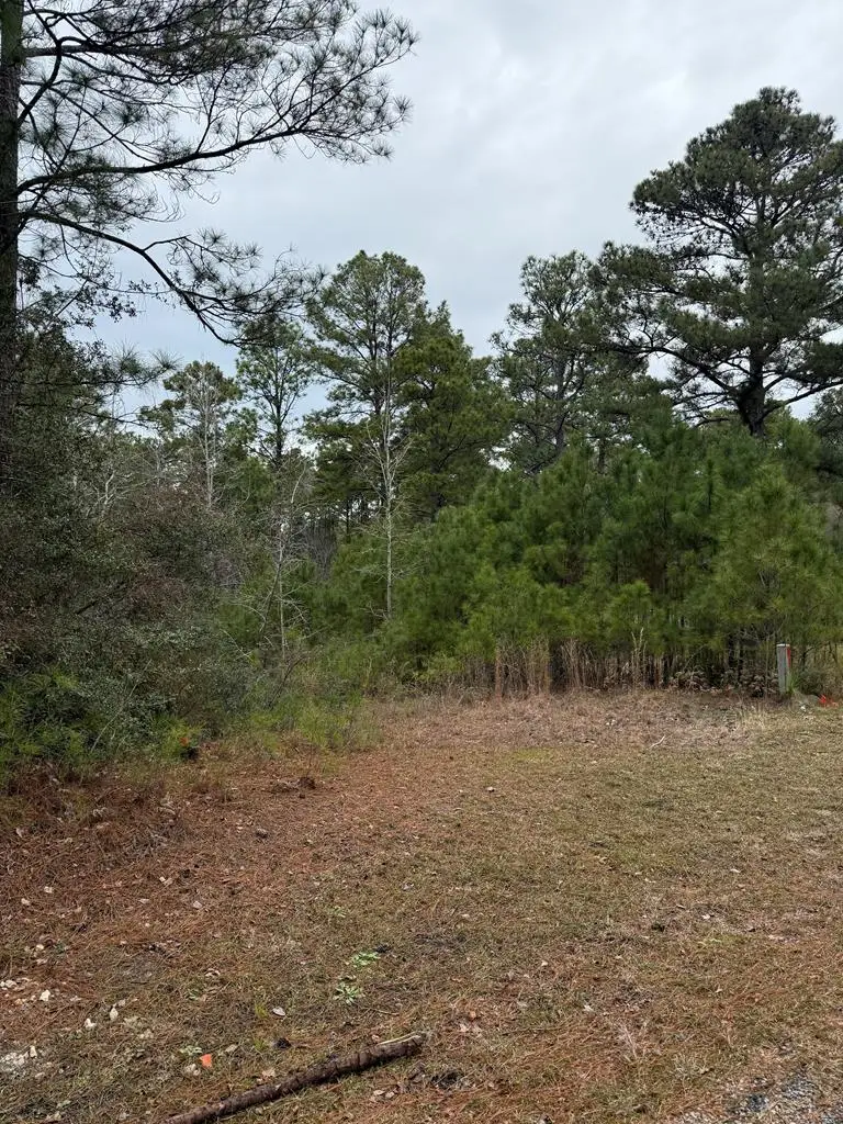 10 Pine Hollow Cove, Brookeland, TX 75931 - #2