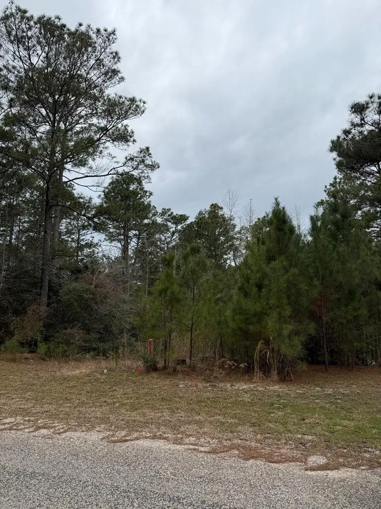 10 Pine Hollow Cove, Brookeland, TX 75931 - #3