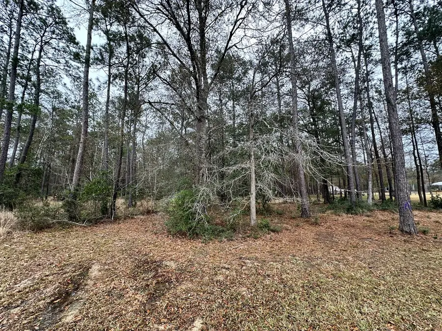 9115 Grizzly Drive, Kountze, TX 77625 - #3