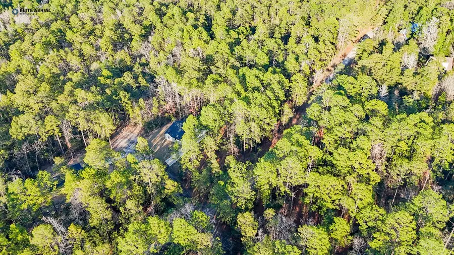 206 Tupelo Drive, Brookeland, TX 75931 - #2