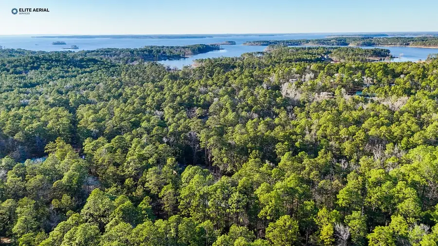 206 Tupelo Drive, Brookeland, TX 75931 - #3