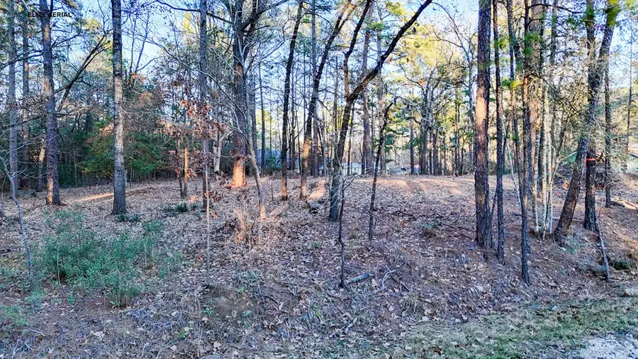 136 Ashcreek Lane, Brookeland, TX 75931 - #2