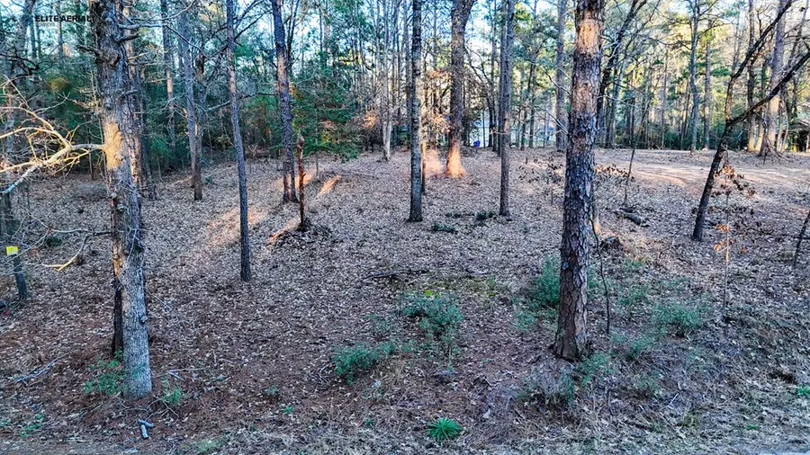 136 Ashcreek Lane, Brookeland, TX 75931 - #3