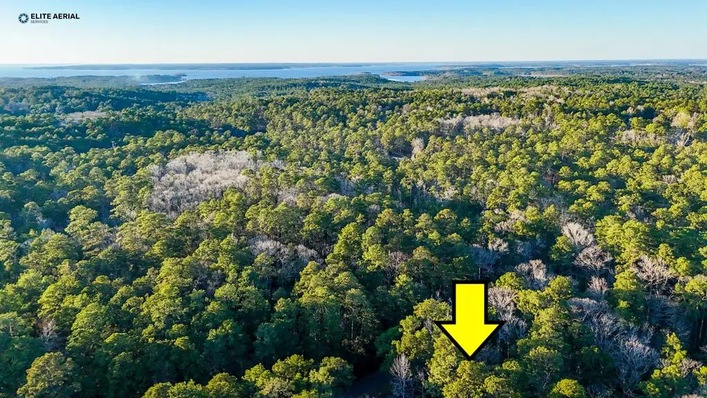 9 Victoria Drive, Brookeland, TX 75931 - #1