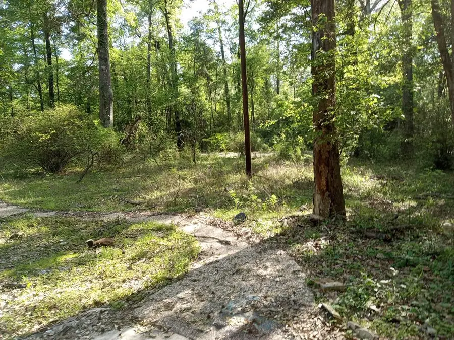 460 Admiral Drive, Hemphill, TX 75948 - #2