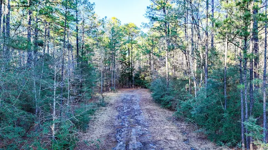 22 Sumac Drive, Brookeland, TX 75931 - #2