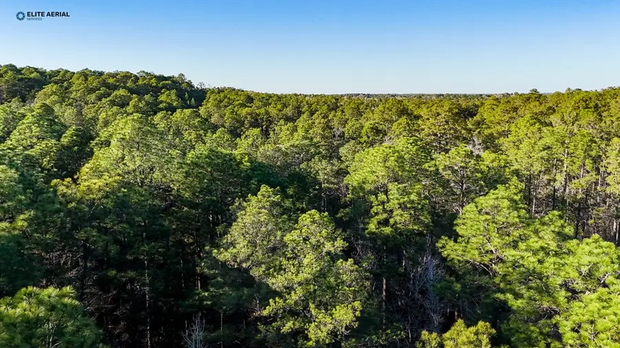 22 Sumac Drive, Brookeland, TX 75931 - #3