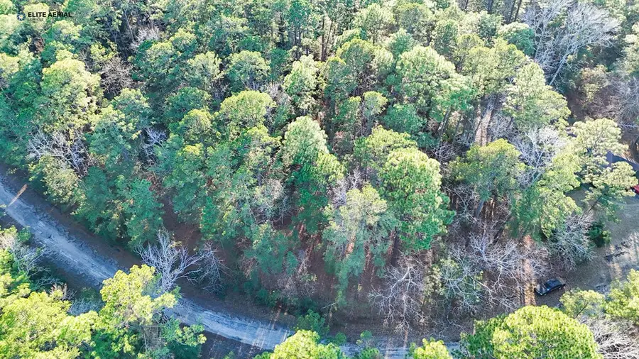 149 Senita Drive, Brookeland, TX 75931 - #2