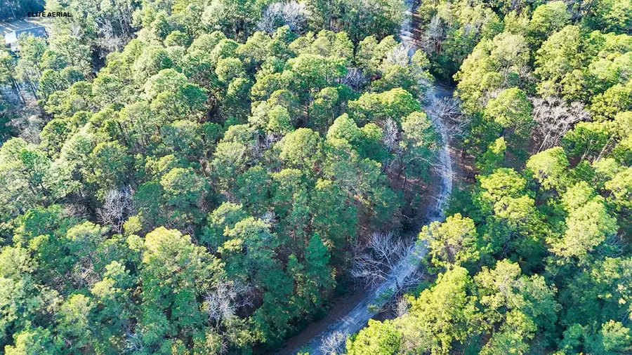 149 Senita Drive, Brookeland, TX 75931 - #3