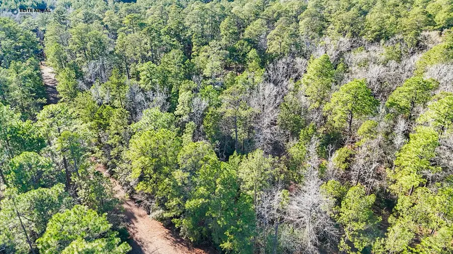 283 Tan Oak, Brookeland, TX 75931 - #2