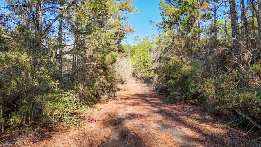 283 Tan Oak, Brookeland, TX 75931 - #3