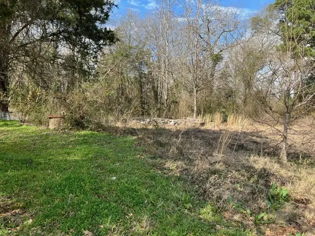 237 Pearl Street, Timpson, TX 75975 - #3