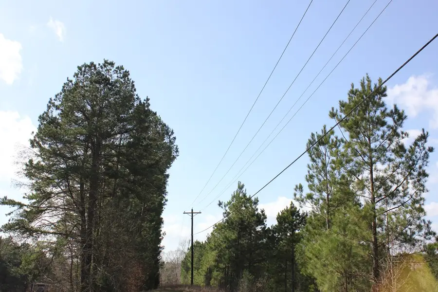 PID 7331 Us Hwy 59 N, Garrison, TX 75946 - #2