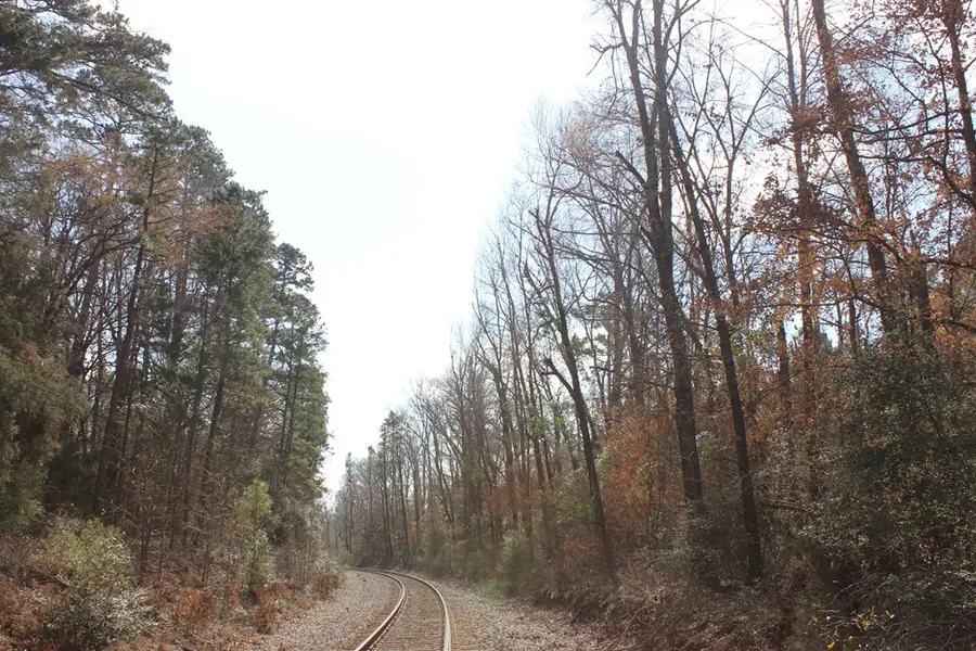 PID 7331 Us Hwy 59 N, Garrison, TX 75946 - #2