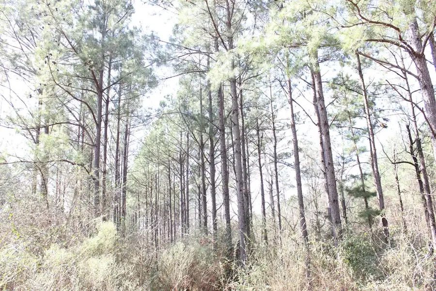 PID 7331 Us Hwy 59 N, Garrison, TX 75946 - #2