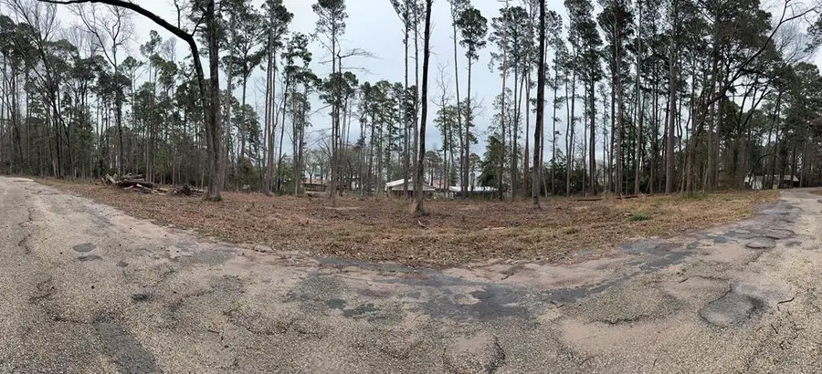 196 Commodore Drive, Hemphill, TX 75948 - #3