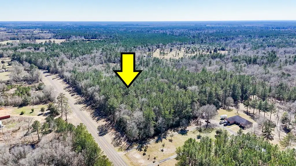 11209 County Road 509, Kirbyville, TX 75956 - #1
