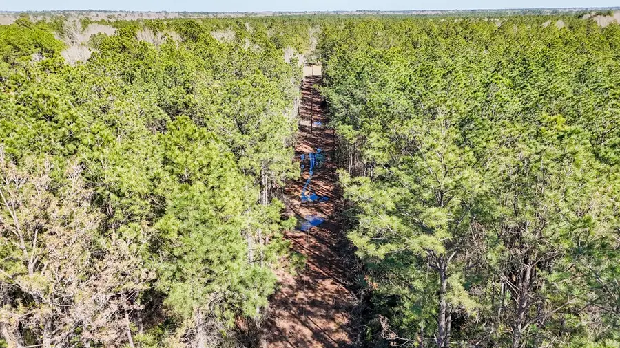 11209 County Road 509, Kirbyville, TX 75956 - #3