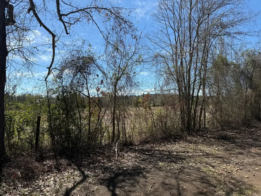 R10334 Basham Road, Pollok, TX 75969 - #2