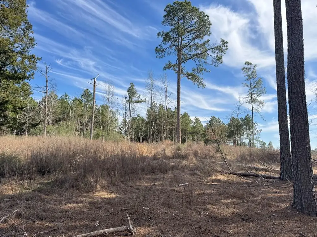 TR 3A Fm 752, Alto, TX 75925 - #1