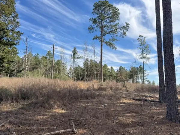 TR 3A Fm 752, Alto, TX 75925