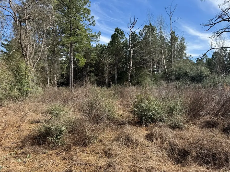 TR 3A Fm 752, Alto, TX 75925 - #3