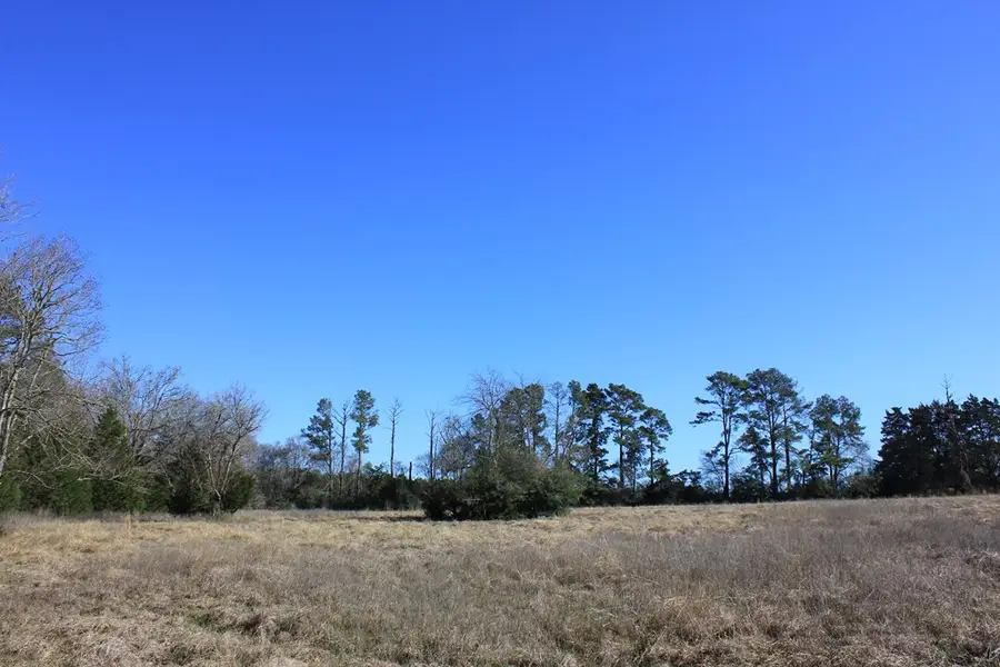 PID 11666 Us 287, Corrigan, TX 75939 - #2