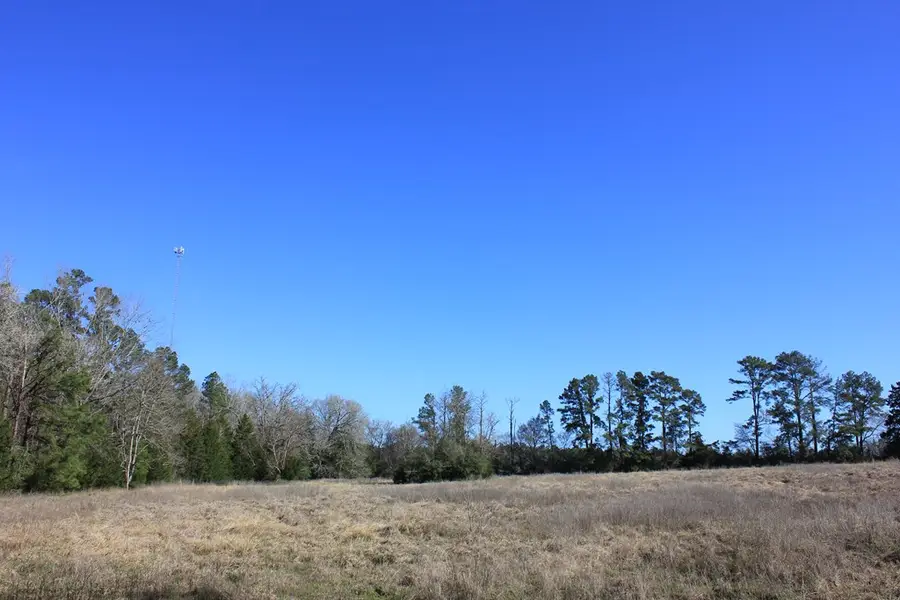 PID 11666 Us 287, Corrigan, TX 75939 - #3