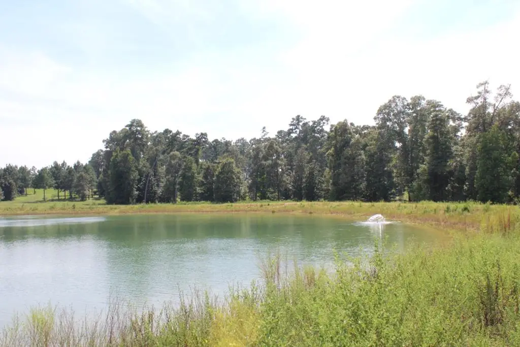 1.571 AC Lot 21 County Road 174, Jasper, TX 75951 - #1