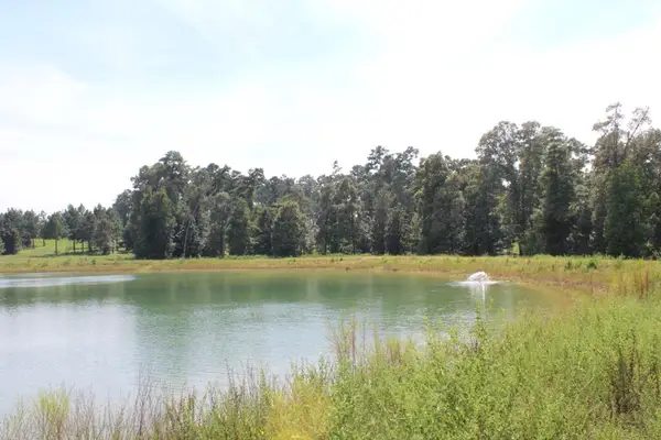 1.571 AC Lot 21 County Road 174, Jasper, TX 75951