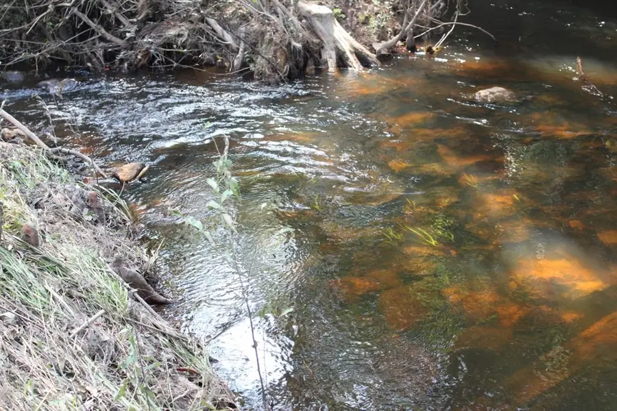 Address Withheld By Seller, Jasper, TX 75951 - #2