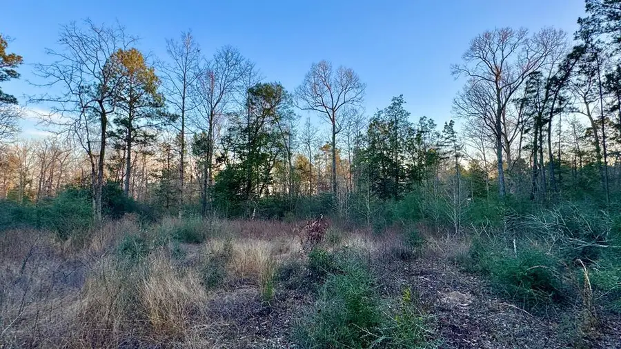 2165 Dorsey Road, Hemphill, TX 75948 - #2