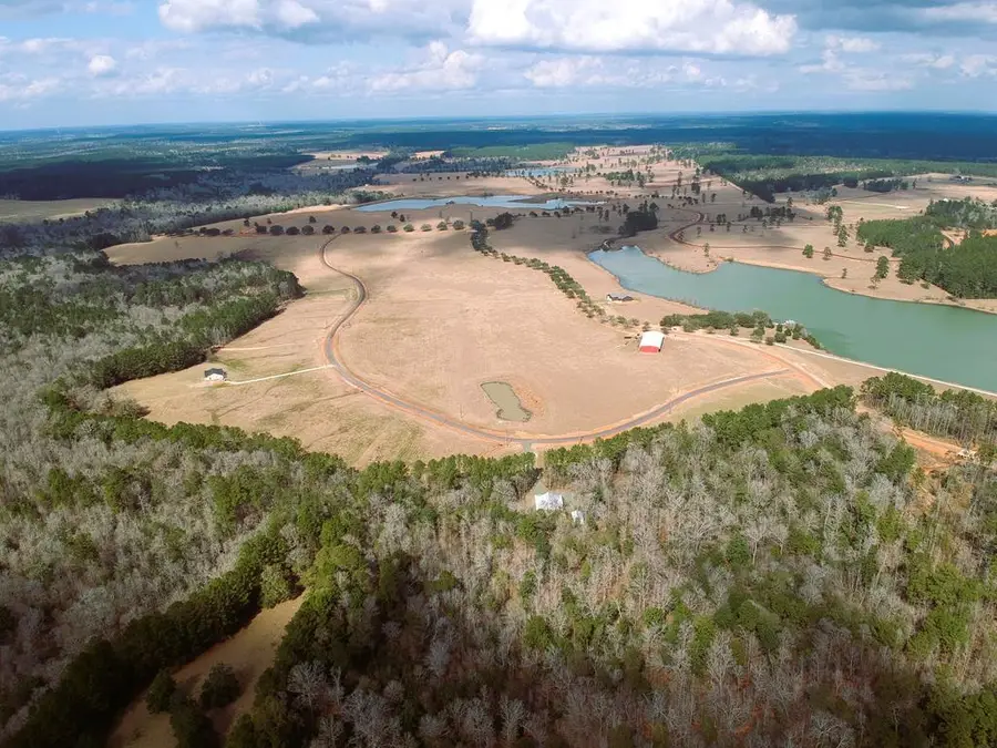 Lot 1 Lakeland Ranch, Hillister, TX 77624 - #2