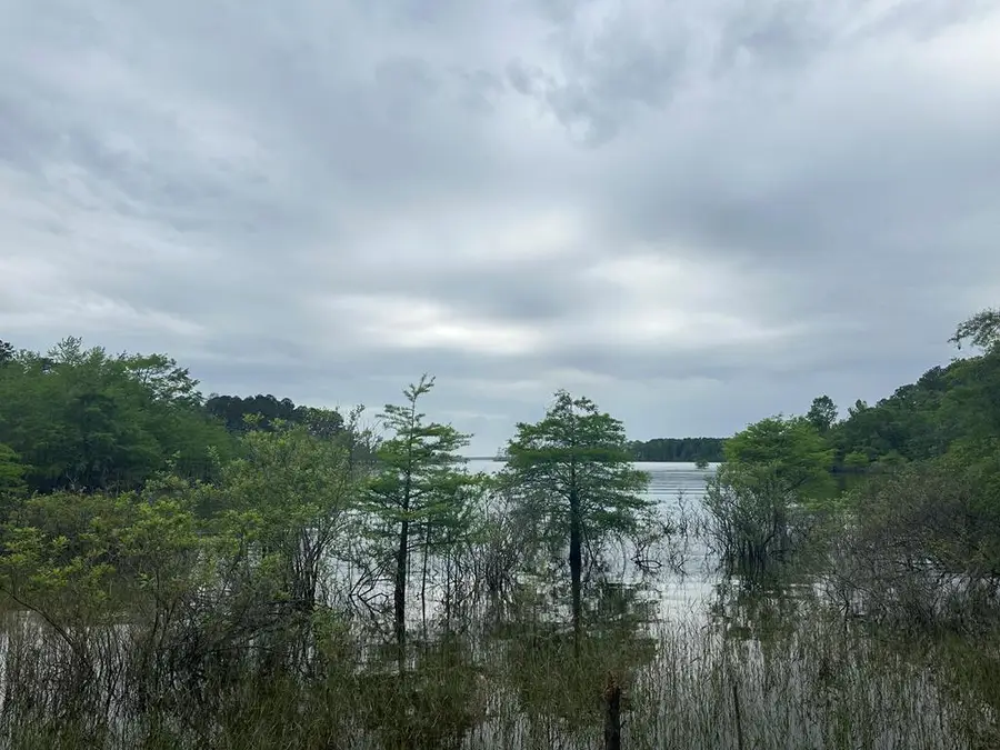 R22310 Pr 6028, Brookeland, TX 75931 - #2