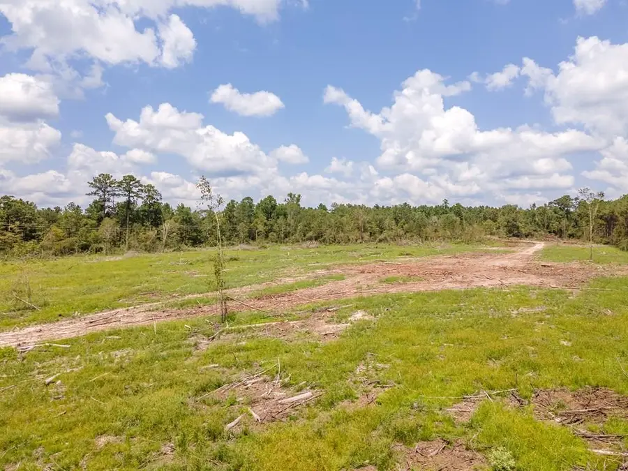 R53358  Tract 2 Hwy 94, Apple Springs, TX 75926 - #3