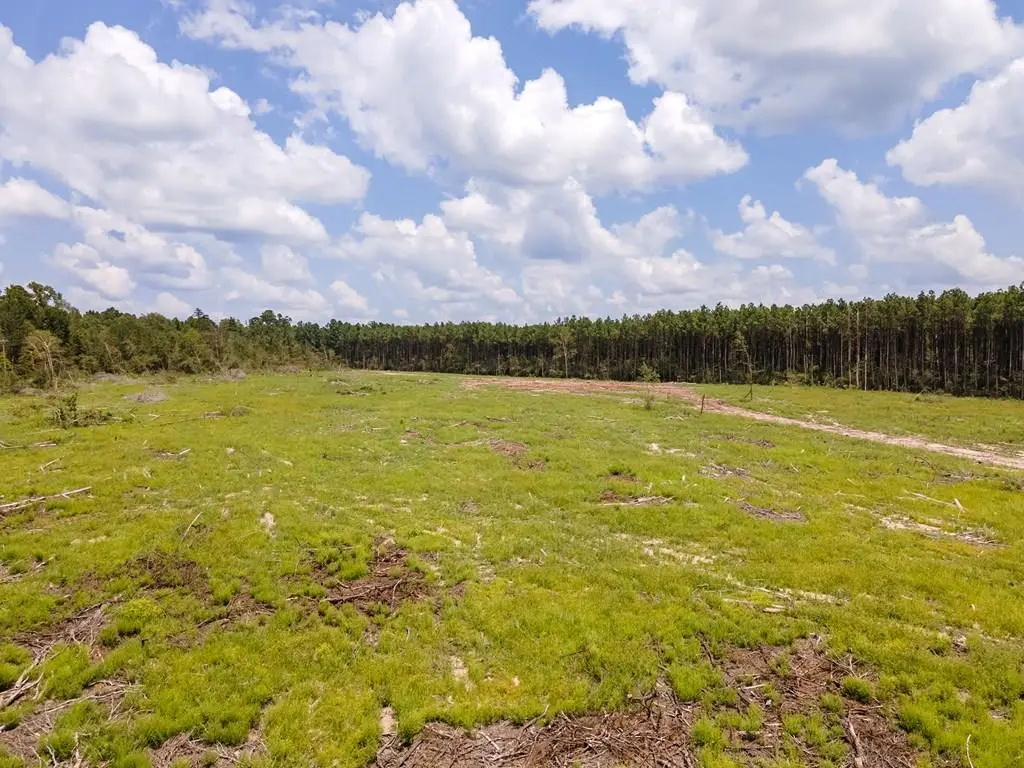 R53358 Tract 3 Hwy 94, Apple Springs, TX 75926 - #1