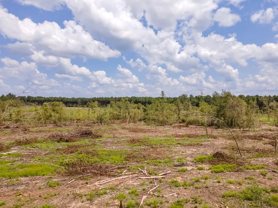 R53358 Tract 3 Hwy 94, Apple Springs, TX 75926 - #3