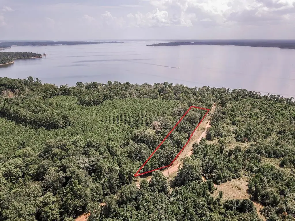 Lots 1-10 County Road 482, Etoile, TX 75944 - #1