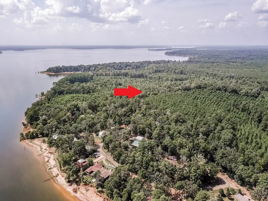 Lots 1-10 County Road 482, Etoile, TX 75944 - #2