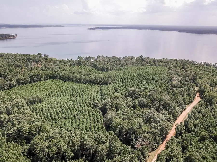 Lots 1-10 County Road 482, Etoile, TX 75944 - #3