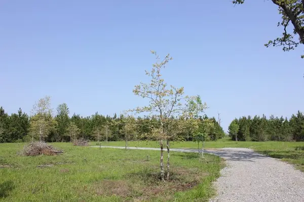 795 Cc Road, Diboll, TX 75941